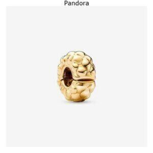 Pandora Studded Clip Charm